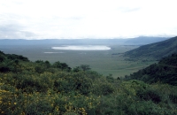 Widok na krater Ngorongoro
